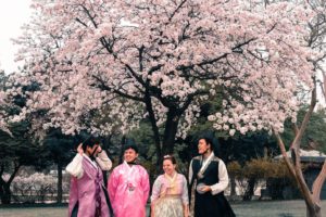 Friends under the cherry blossom tree