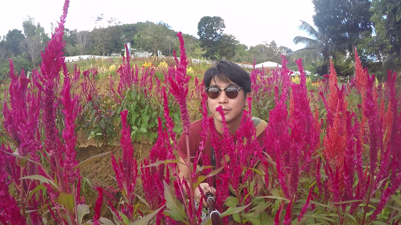 Sirao Flower Farm